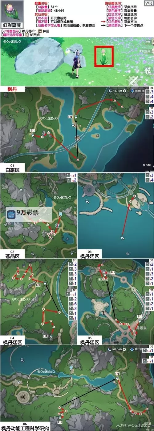 《原神》阿蕾奇诺突破材料虹彩蔷薇采集路线图1