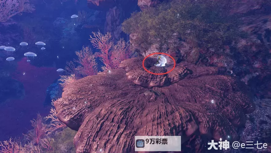 《逆水寒》老兵服海底图鉴跟游图文坐标版本图1